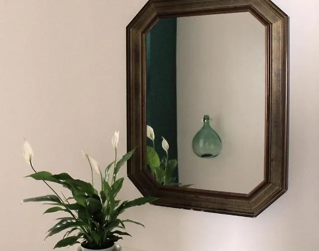 Green 바리