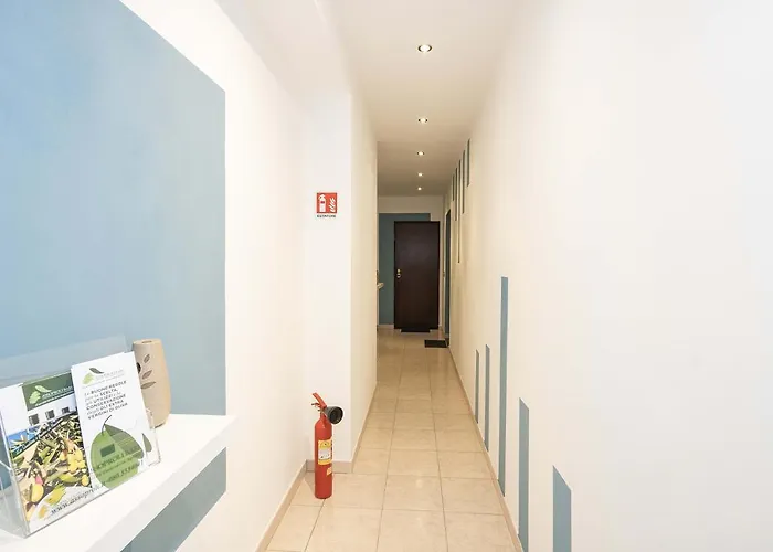 Green Daire Bari